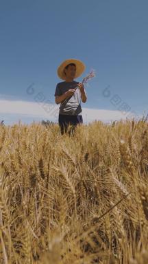 农民<strong>开心</strong>的看着麦子